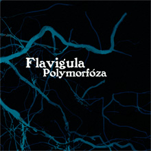 ress-23 | Flavigula – Polymorfóza